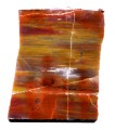 petrified wood $68 3.25 x 2.25 x1.25